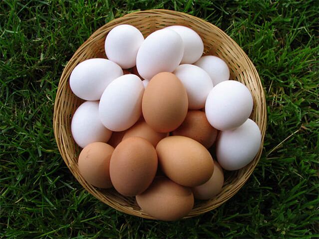 चिकन अंडे इरेक्शन को मजबूत करते हैं और पुरुष कामेच्छा बढ़ाते हैं